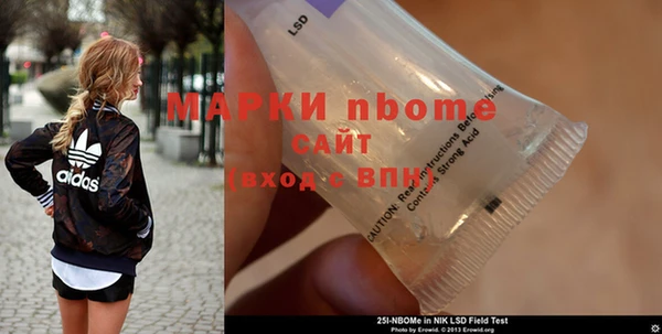 прущие грибы Балабаново