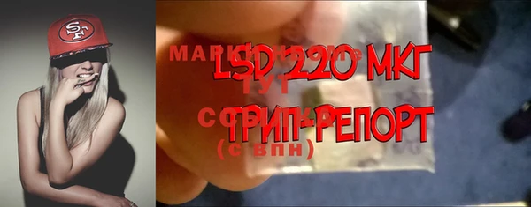 прущие грибы Балабаново