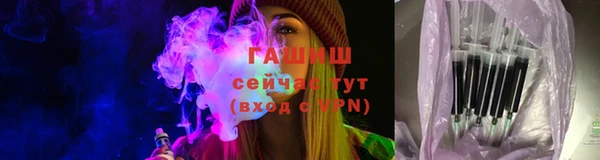 прущие грибы Балабаново
