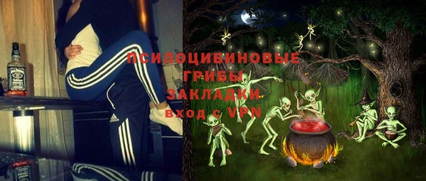 прущие грибы Балабаново