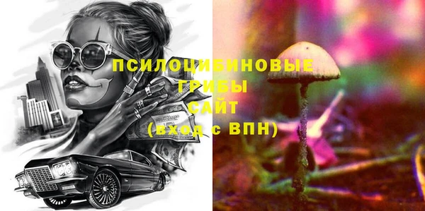 гидра Балахна