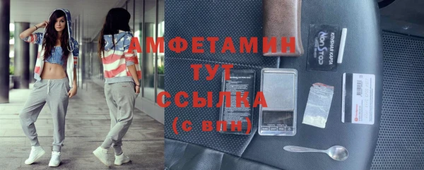прущие грибы Балабаново