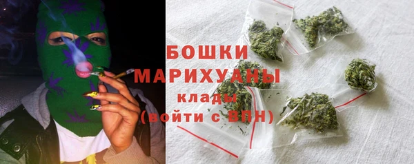 прущие грибы Балабаново