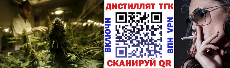 Дистиллят ТГК THC oil  купить наркотики сайты  мега онион  Судогда 