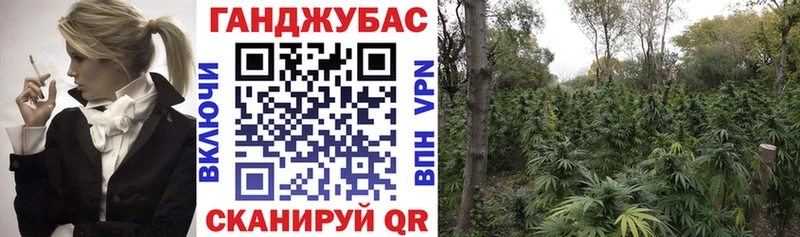 МАРИХУАНА индика  Судогда 